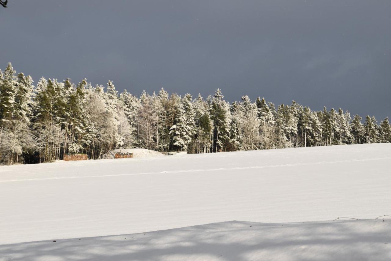 Villa Rosa Pfreimd Exteriör bild